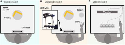 Humans Can Visually Judge Grasp Quality and Refine Their Judgments Through Visual and Haptic Feedback